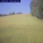 1782489600.jpg
